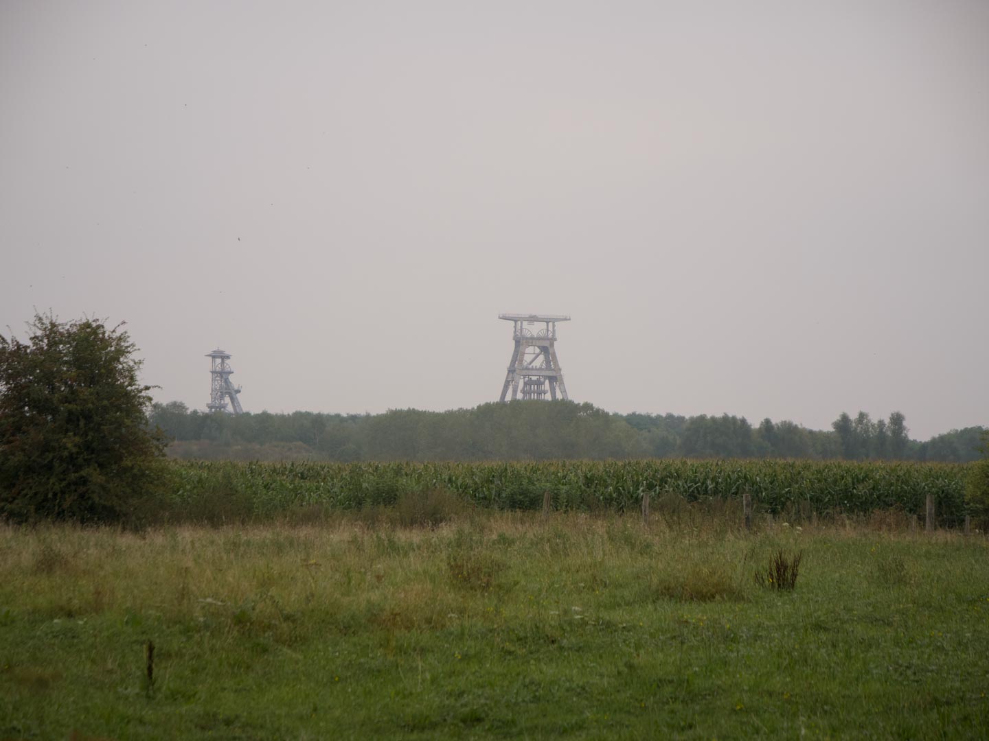 Chevalement de la mine de Wallers-Arenberg vu depuis les champs.